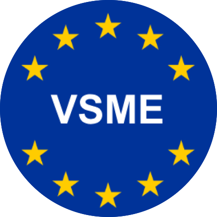 VSME VSME